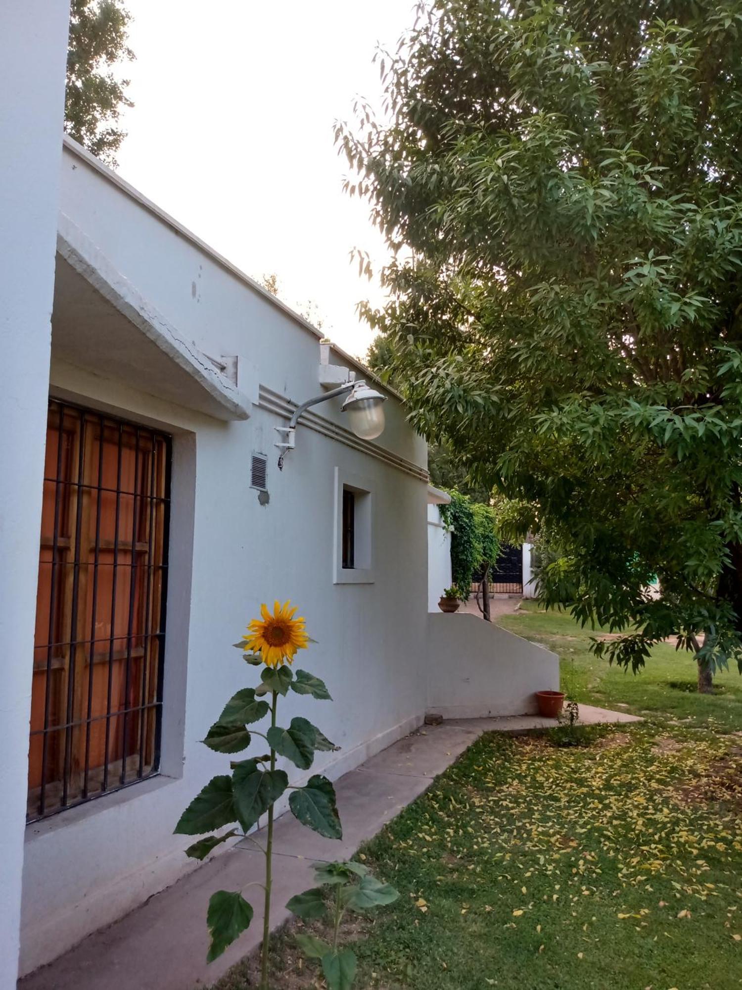 Los Siete Chakras Bed & Breakfast Lujan de Cuyo Exterior photo