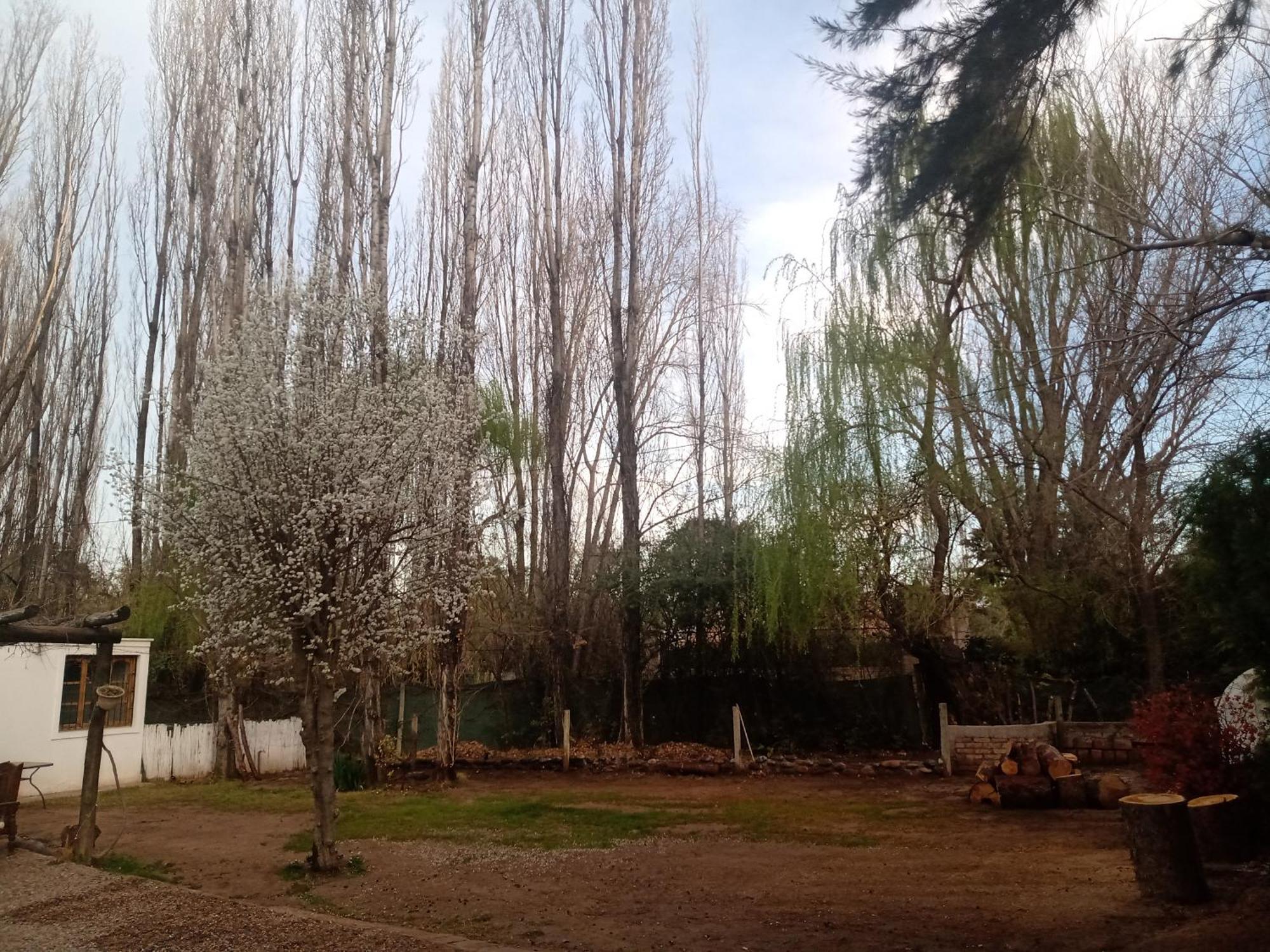 Los Siete Chakras Bed & Breakfast Lujan de Cuyo Exterior photo